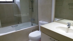 The Arcadia (D11), Condominium #164356652